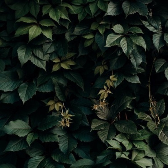 Meet your Posher, Pooja - Picture 1 of 1